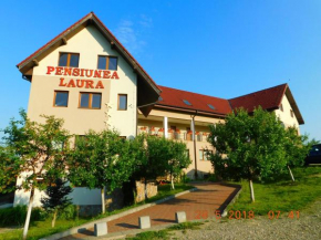 Pension Laura Cheile Turzii
